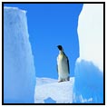 Antarctic Peninsula